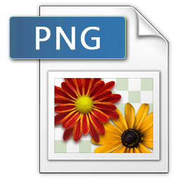 png icon